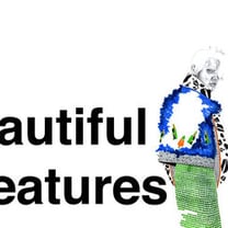 Beautiful Creatures (Geraldine Wharry)
