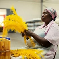 Afrique du Sud: la "capitale de l'autruche" n'a pas perdu son plumage