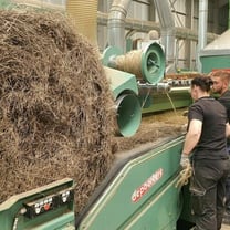 Flax industry ready for record harvest