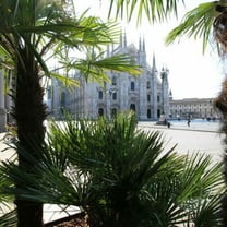 Dall'Oasi Zegna le nuove aiuole di piazza Duomo a Milano