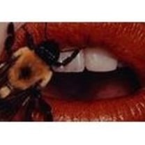 Fotoğrafçı Irving Penn retrospektif sergisi Ekim ayında Washington’da