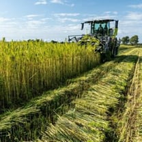 France 2030: deux projets de première usine retenus pour la filière chanvre
