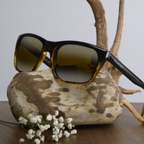 Thélios, entité lunettière du groupe LVMH, fait l'acquisition de la marque Vuarnet