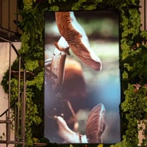 McCartney stages innovation exhibit at Salone del Mobile, enters interiors