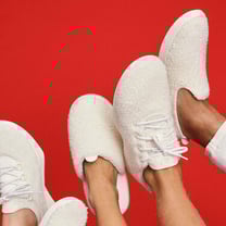 Allbirds remanie sa direction