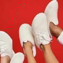Allbirds reveals management promotions